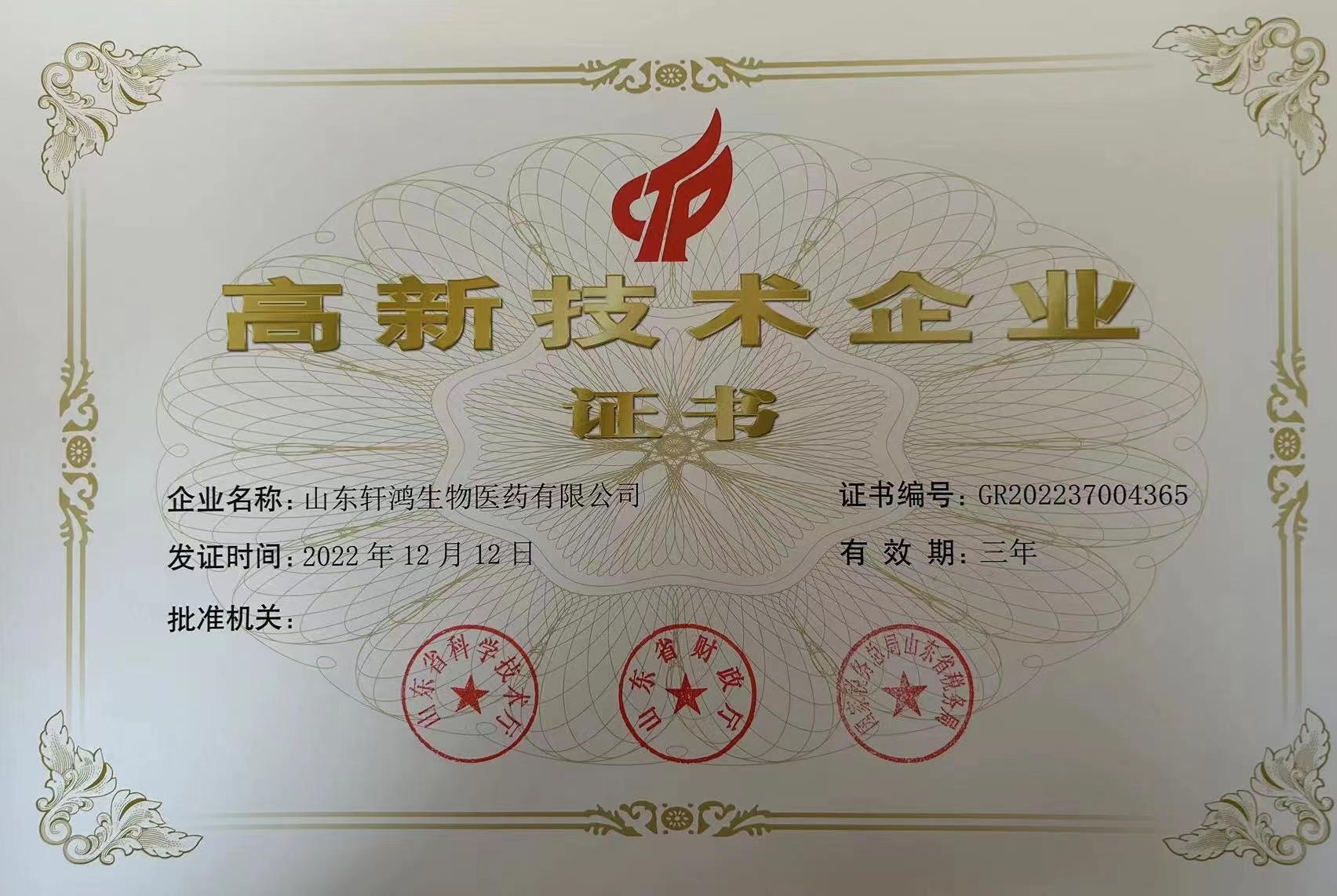 高新企业证书.JPG